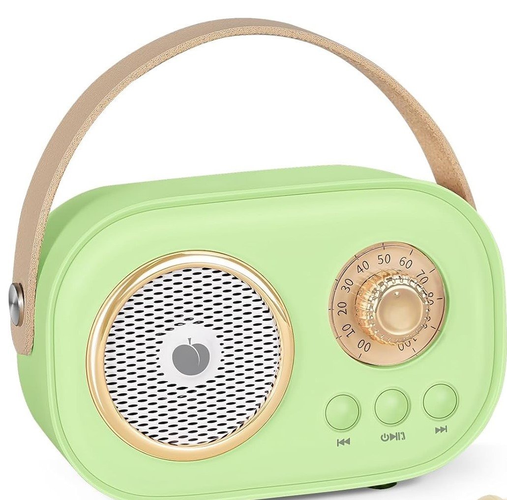 SpringFlora Mini Karaoke Machine, Portable Bluetooth Karaoke Speaker for Kids and Adults  , Small Karaoke System, Gifts for Boys Girls Christmas Birthday Party Gathering Light Green