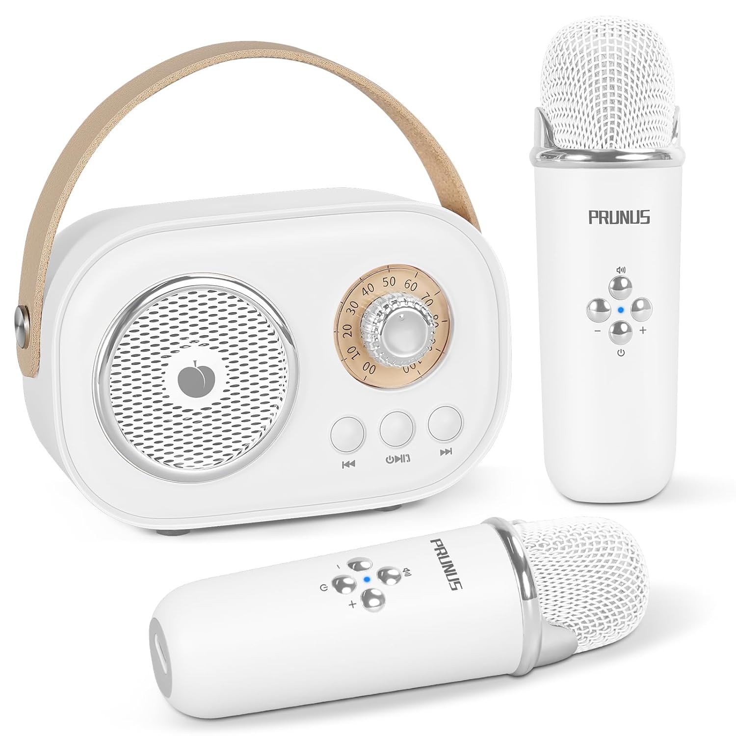 SpringFlora Mini Karaoke Machine, Portable Bluetooth Karaoke Speaker for Kids and Adults with Wireless Microphone, Small Karaoke System, Gifts for Boys Girls Christmas Birthday Party Gathering White